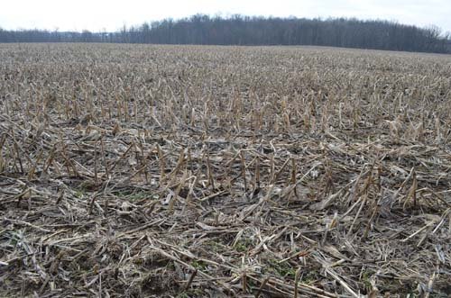 Property photo 31 - 98+/- Acres Offered in 6 Tracts or Combinations, Noble County, Indiana Farm